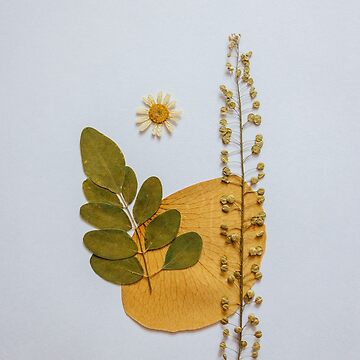 Artwork thumbnail, helios by p+h // by pebblesandherbs