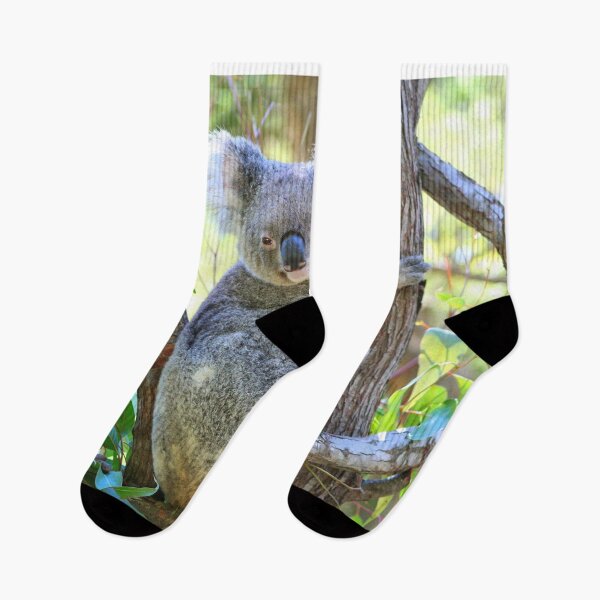 Item preview, Australian koala looking cute and cuddly designed and sold by FranWest.