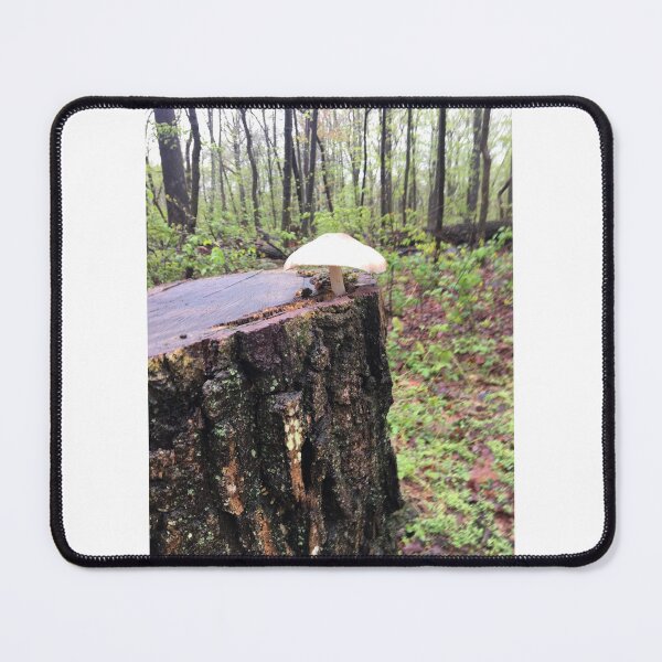 Item preview, Mushroom on Stump 3 designed and sold by NimsNature.