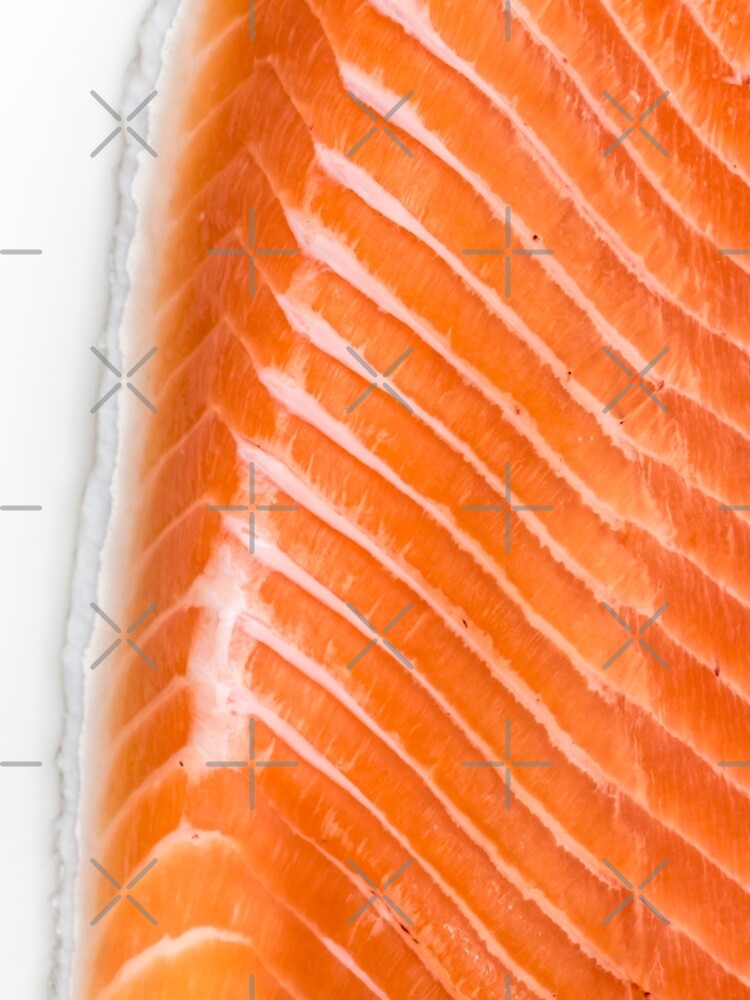 raw salmon fillet by nobelbunt