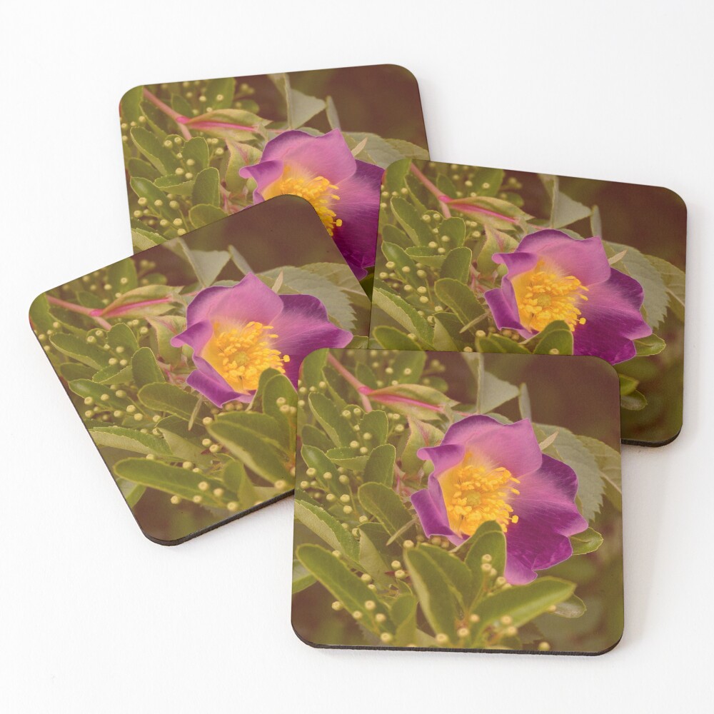 Item preview, Coasters (Set of 4) designed and sold by Artskratch.