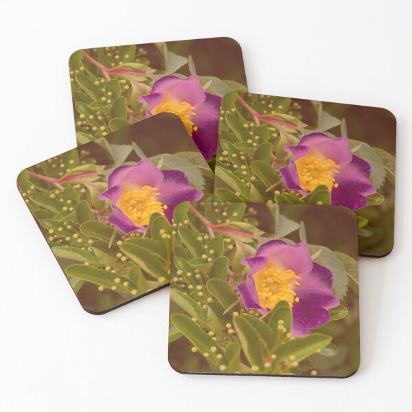 Item preview, Wild Rose designed and sold by Artskratch.
