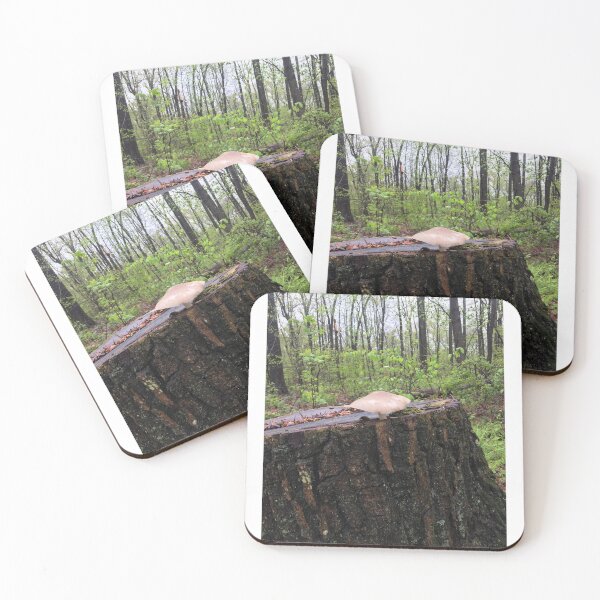 Item preview, Mushroom on Stump 4 designed and sold by NimsNature.