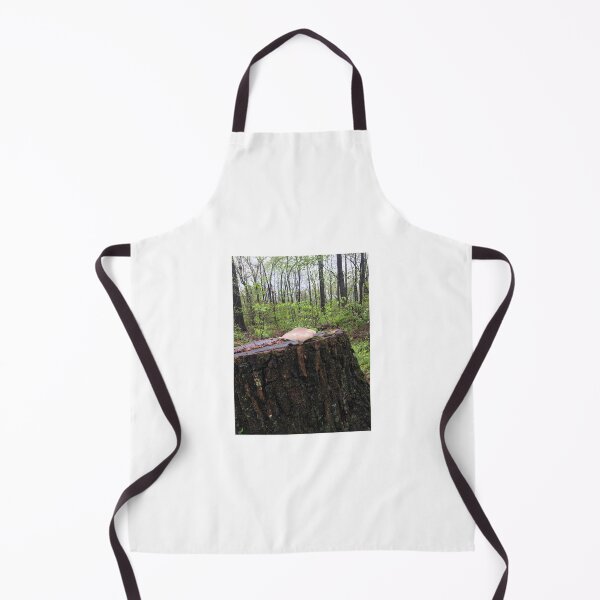 Item preview, Mushroom on Stump 4 designed and sold by NimsNature.