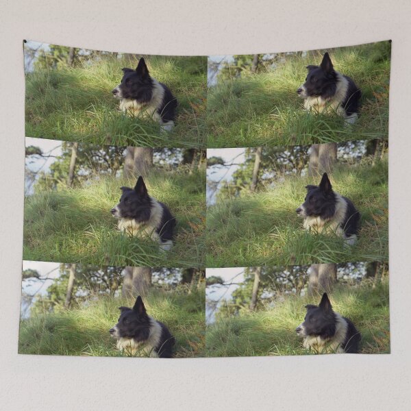 Item preview, "Dogs are our link to Paradise" designed and sold by Michael Haslam.