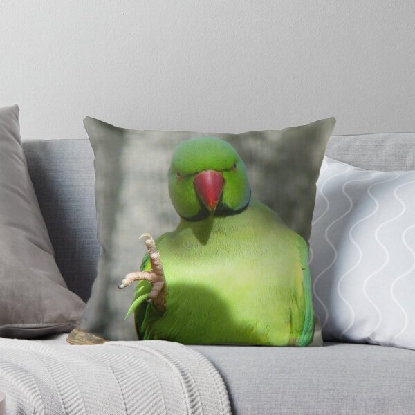 Item preview, Miss, Miss, I know The Answer! - Ring Neck Parrot - NZ Queenspark designed and sold by AndreaEL.