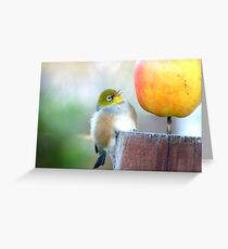 WOW! Is This The Big Apple! - Wax-Eye - NZ Greeting Card