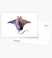 Manta ray Postcards