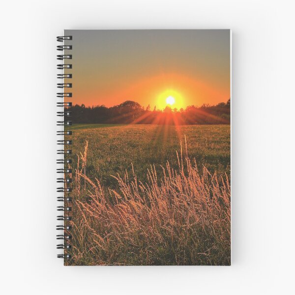 Item preview, Sunrise Over A Field designed and sold by Taceo10.