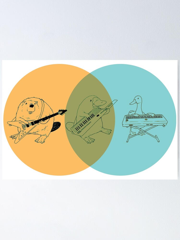 "Keytar Platypus Venn Diagram OGB" Poster by GuyBlank Redbubble