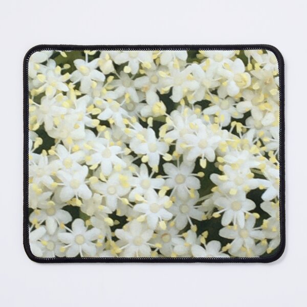 Item preview, Elderflowers 1 designed and sold by NimsNature.