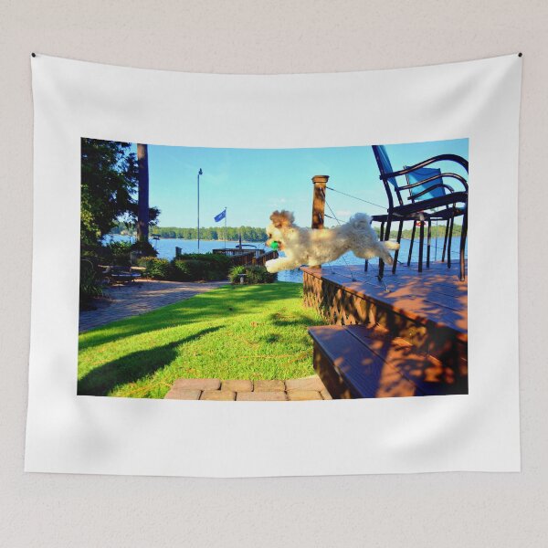 Item preview, Chasing My Toy designed and sold by LisaWootenPhoto.