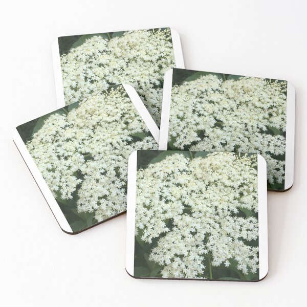 Item preview, Elderflowers 2 designed and sold by NimsNature.