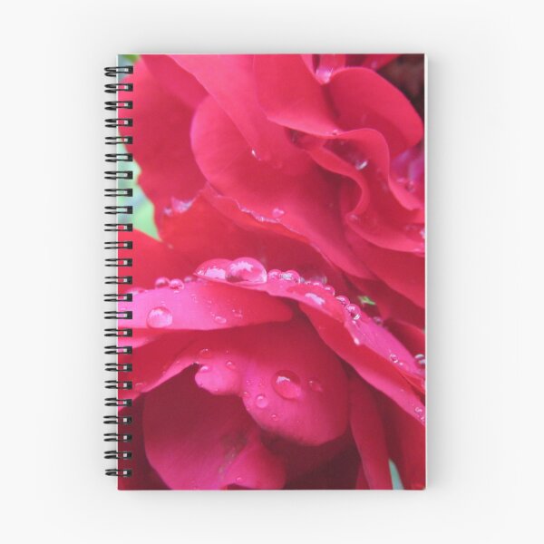Artikelvorschau, Wassertropfen auf roter Rose entworfen und verkauft von Melissa, Sue Ball.