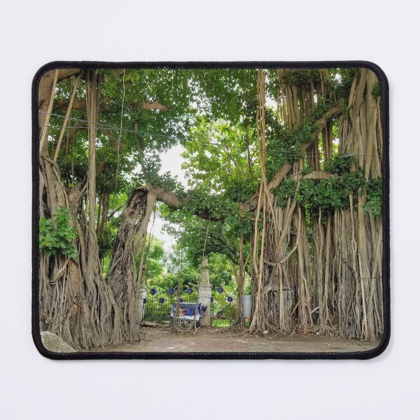 Item preview, Bangkok Sidewalk Landscape Tree Solitude designed and sold by SubtleSplit.