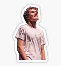 bo burnham Sticker