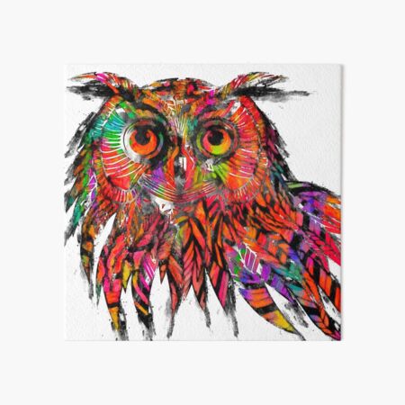 Colorful Owl Drawing Art Board Print