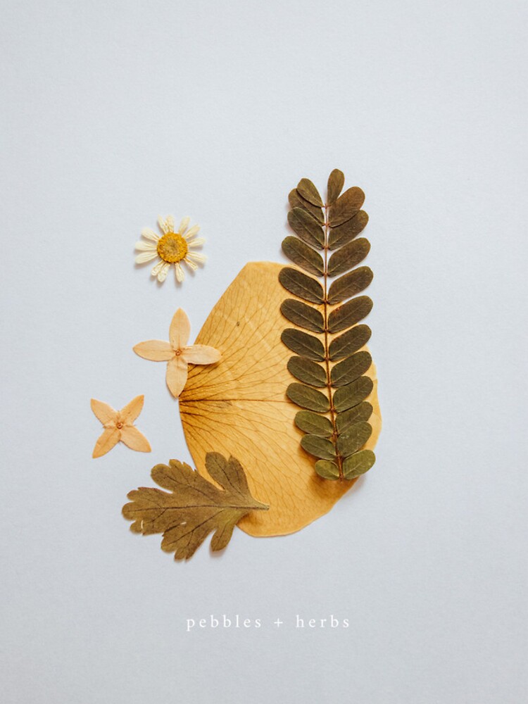 Thumbnail 4 of 4, iPhone Case, aelia by p+h // designed and sold by pebblesandherbs.