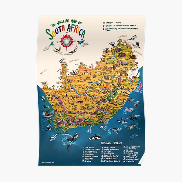 Wildlife Map Of South Africa Poster For Sale By Rohanchak Redbubble wildlife-map-of-south-africa-poster-for-sale-by-rohanchak-redbubble