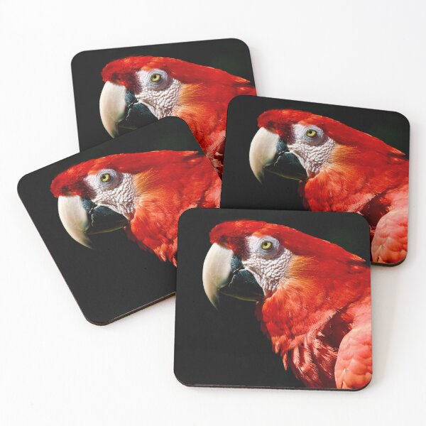 Item preview, Scarlet Macaw Red on Black designed and sold by richardbryce.