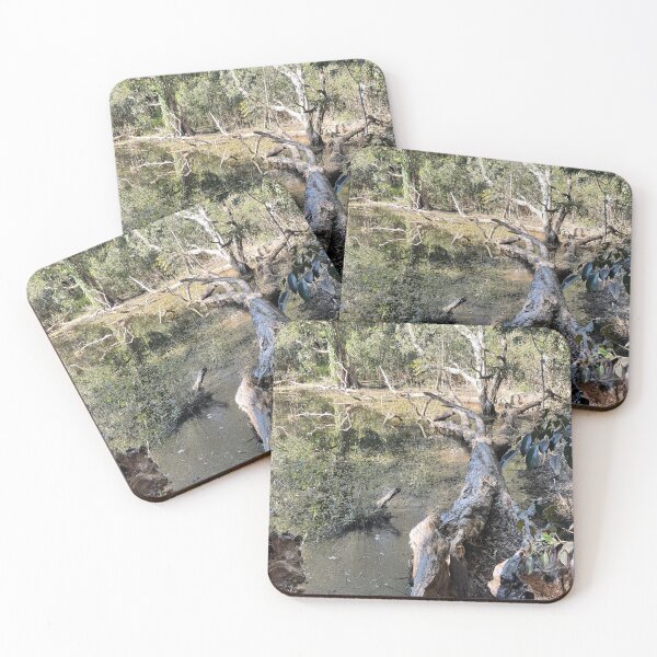 Item preview, Amazing Awabakal Reserve designed and sold by KazM.