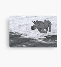 I can fly! Oww... no I can't Canvas Print