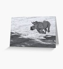 I can fly! Oww... no I can't Greeting Card