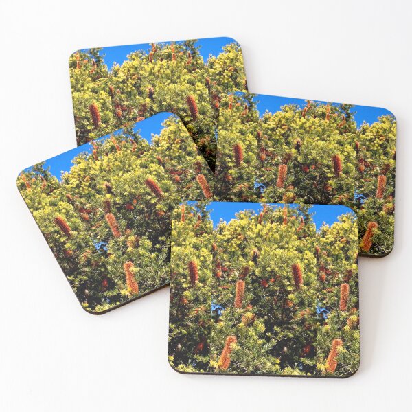Item preview, Beaut Bottlebrush Sky designed and sold by KazM.