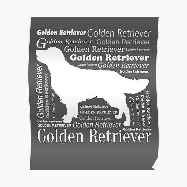 Golden Retriever Poster