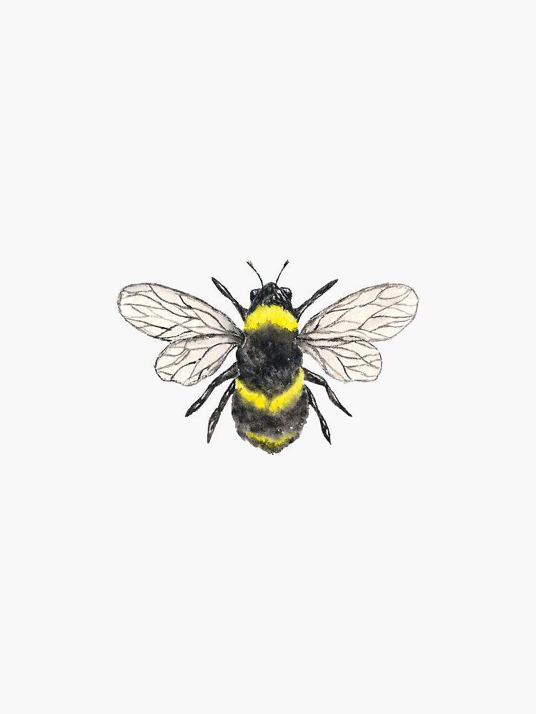 save the bee by Sarahwasson13