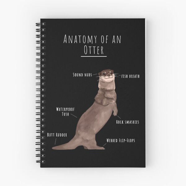 Item preview, Otter Anatomy Tshirt, Adorable Otter Gift, Otter Lover, Funny Otter Tee designed and sold by Mossysplashart.