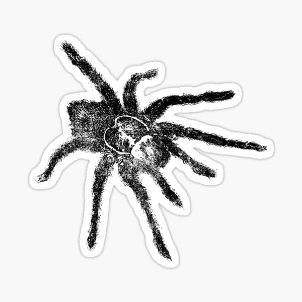 Item preview, Tarantula designed and sold by seriouscereal.