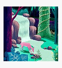 The Whispering Waters of Eventide Vale Photographic Print