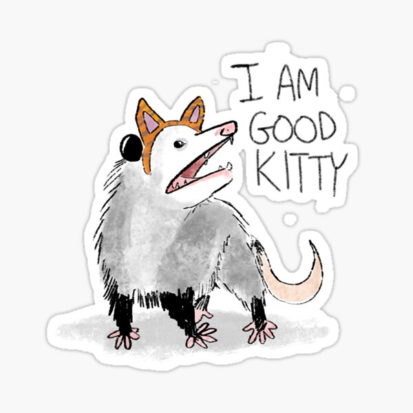 i am good kitty possum shirt