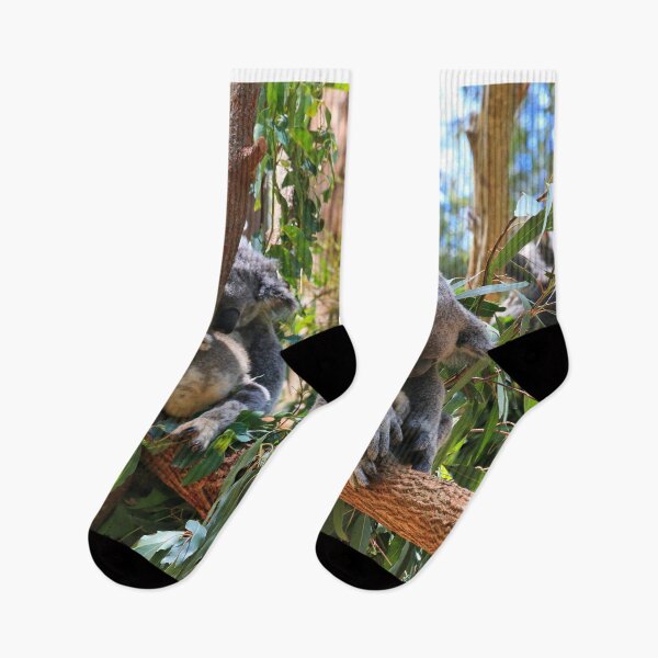 Item preview, Sleepy Australian koalas designed and sold by FranWest.