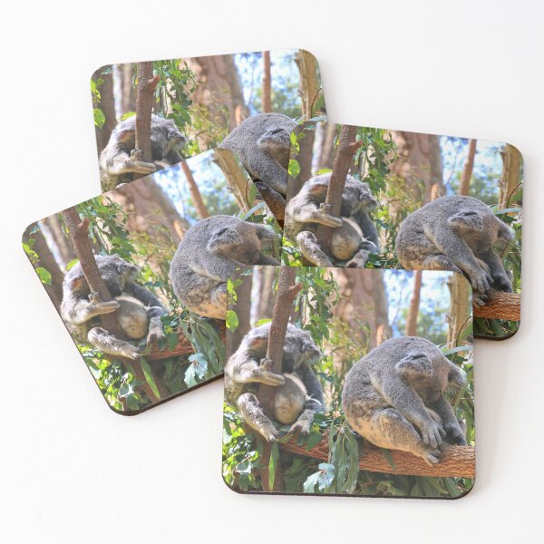 Item preview, Sleepy Australian koalas designed and sold by FranWest.