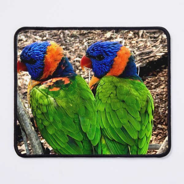 Item preview, Parrot Pair designed and sold by KazM.