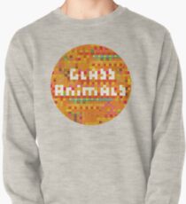 Glass Animals Pullover