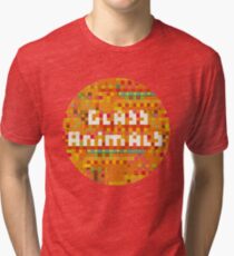Glass Animals Tri-blend T-Shirt