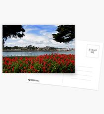 The Mersey River foreshore... Postcards