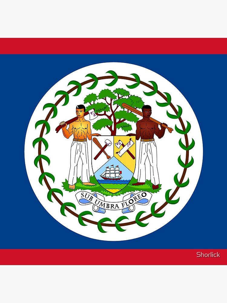 Aperçu 3 sur 3. Coussin avec l'œuvre Drapeau du Belize créée et vendue par Shorlick.