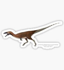 Coelophysis (Megapnosaurus) kayentakatae Sticker
