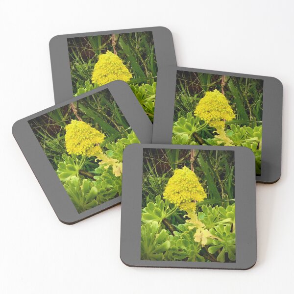 Item preview, Super Succulent Fab Flower  designed and sold by KazM.