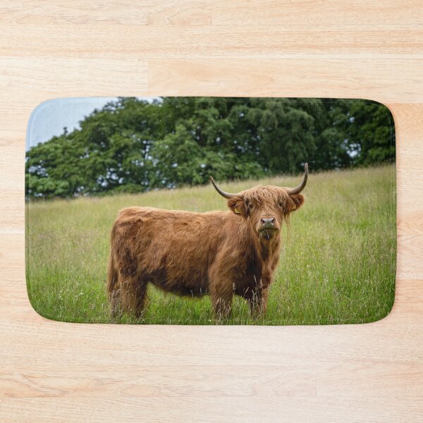 Item preview, Highland Cow on Dartmoor designed and sold by Shot-By-Reedy.