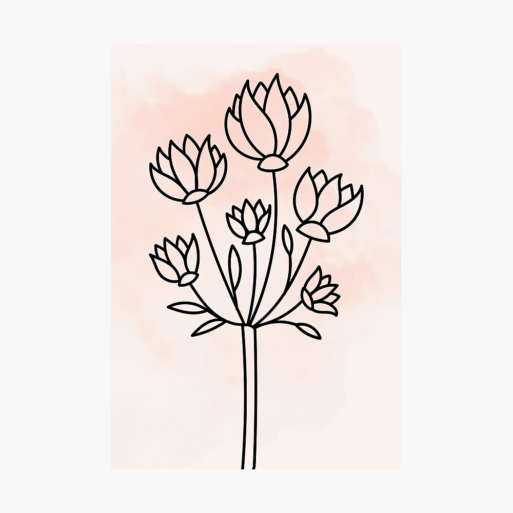 flower tattoos | Lotus flower drawing, Flower drawing, Flower outline