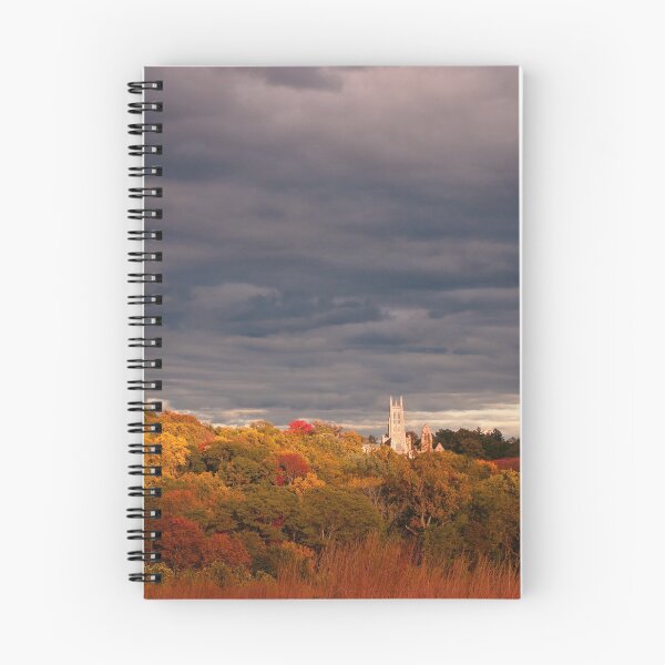 Item preview, Bryn Athyn Cathedral designed and sold by dlamb.