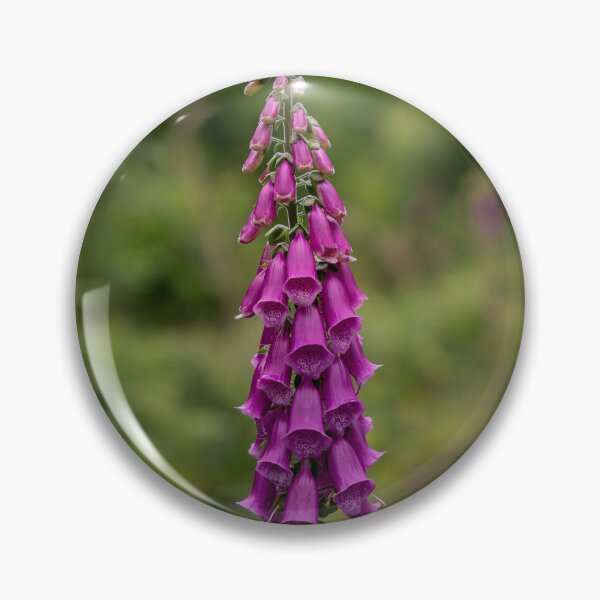 Item preview, Foxglove on Dartmoor designed and sold by Shot-By-Reedy.