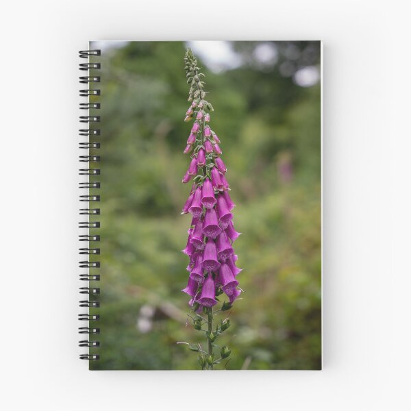 Item preview, Foxglove on Dartmoor designed and sold by Shot-By-Reedy.