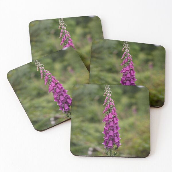 Item preview, Foxglove on Dartmoor designed and sold by Shot-By-Reedy.