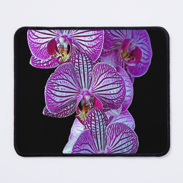 Item preview, Purple Veined Orchid designed and sold by Ian Jeffrey.